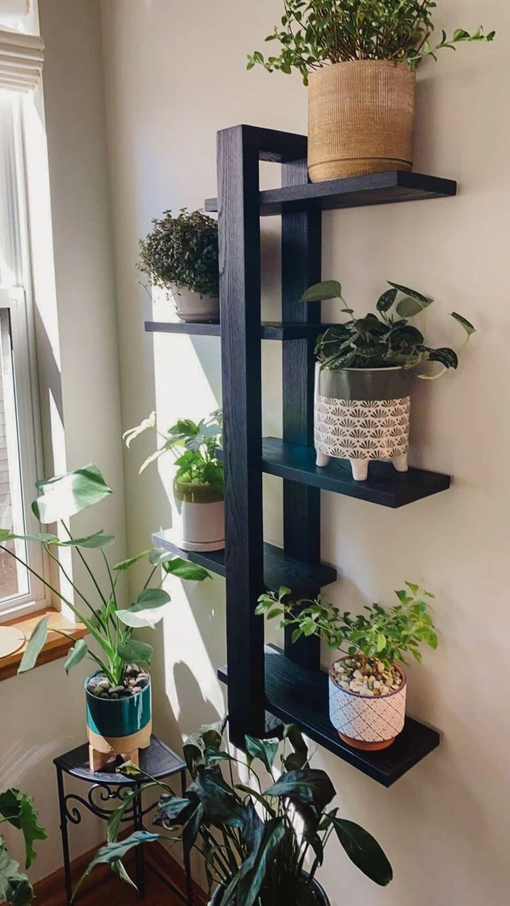 Shelves